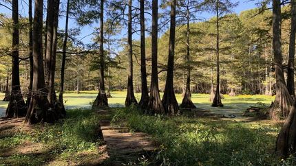 Property in Pulaski County, Arkansas