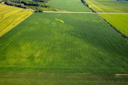 Property in Clay County, Arkansas