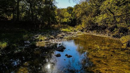 Property in Montague County, Texas