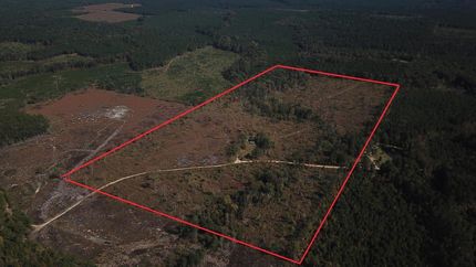 Property in Bradley County, Arkansas