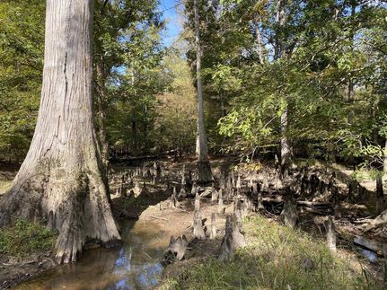 Property in Calhoun County, Arkansas