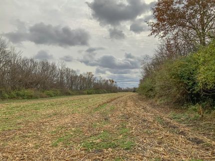 Property in Pickaway County, Ohio