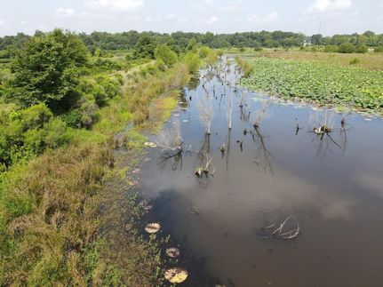 Property in Lonoke County, Arkansas