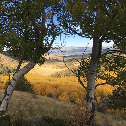 Property in Park County, Colorado