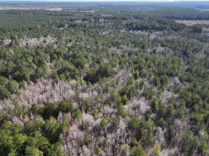 Property in Kemper County, Mississippi