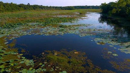 Property in Liberty County, Texas