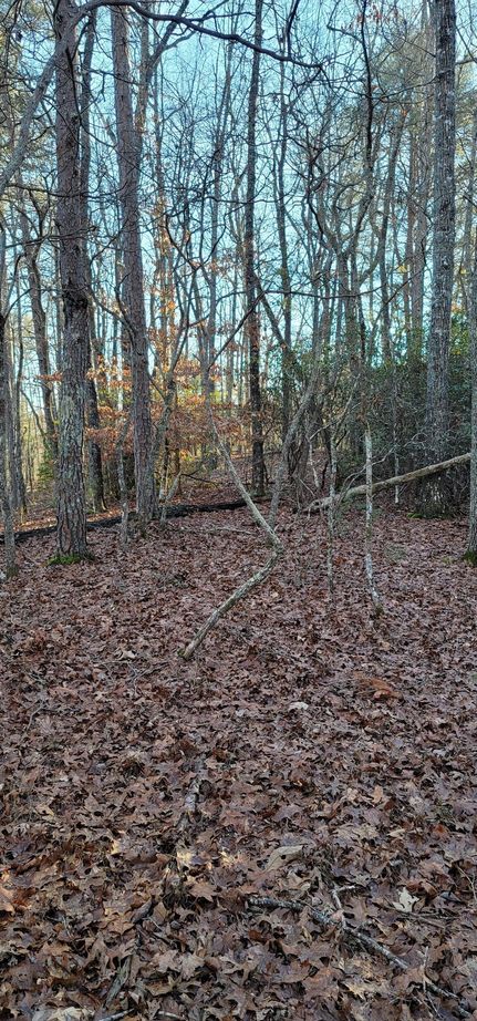 Property in Cherokee County, North Carolina