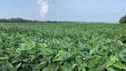 Property in Jefferson County, Arkansas