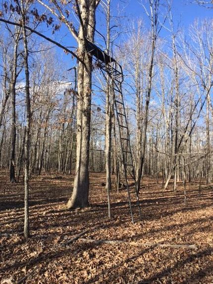 Property in Howell County, Missouri