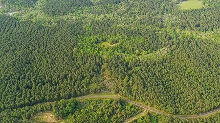 Property in Clarke County, Mississippi