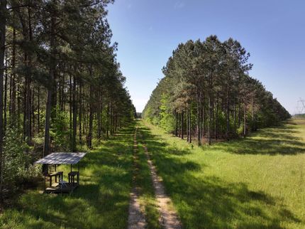 Property in Monroe County, Mississippi