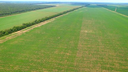 Property in Acadia Parish, Louisiana