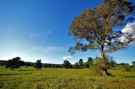 Property in Nacogdoches County, Texas