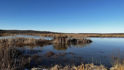 Property in Lee County, Arkansas