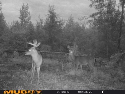 Property in Dodge County, Georgia