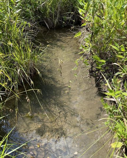 Property in Baxter County, Arkansas