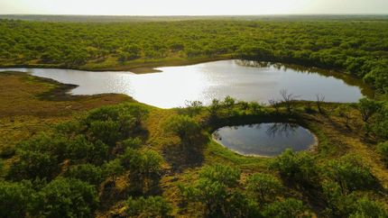 Property in Shackelford County, Texas