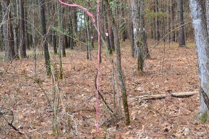 Property in Clark County, Arkansas