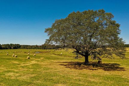 Property in Winston County, Mississippi