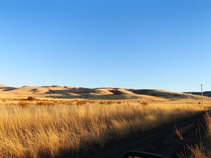 Property in Umatilla County, Oregon