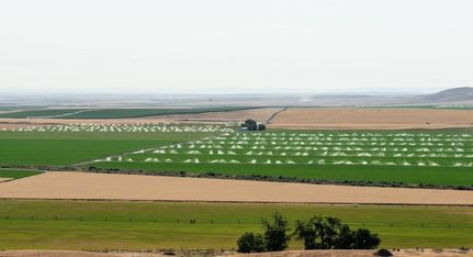 Property in Umatilla County, Oregon