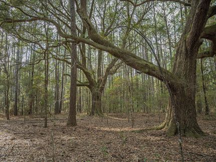 Property in Taylor County, Florida