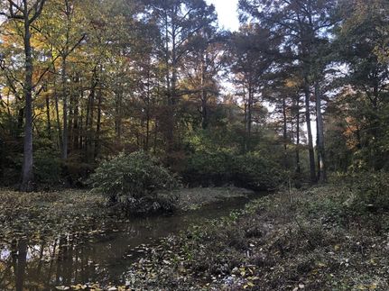 Property in Prairie County, Arkansas