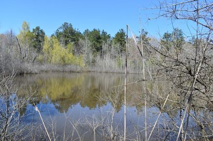 Property in Nevada County, Arkansas