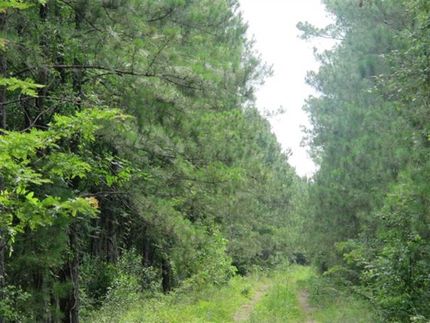 Property in San Augustine County, Texas