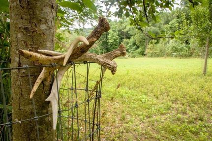 Property in Columbiana County, Ohio