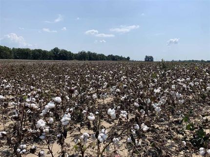 Property in Crittenden County, Arkansas