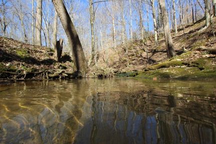 Property in Hickman County, Tennessee