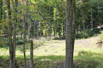 Property in Highland County, Virginia