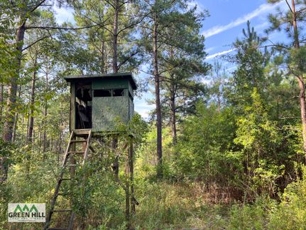 Property in Ben Hill County, Georgia