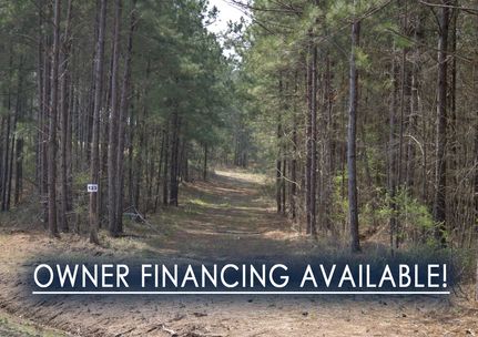 Property in San Augustine County, Texas