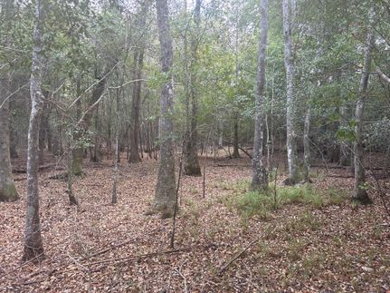 Property in Tyler County, Texas