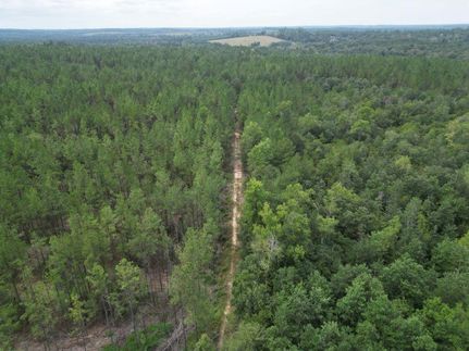 Property in Greene County, Mississippi