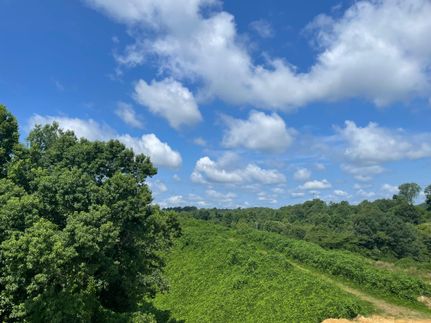 Property in Tuscaloosa County, Alabama