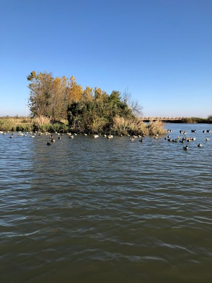 Property in Adams County, Illinois