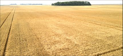 Property in Pembina County, North Dakota