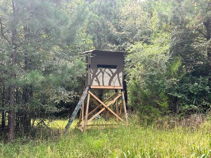 Property in Greene County, Georgia