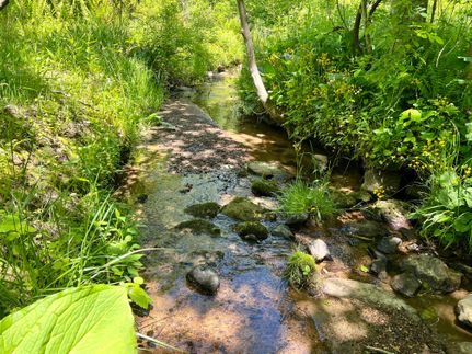 Property in Fayette County, Pennsylvania