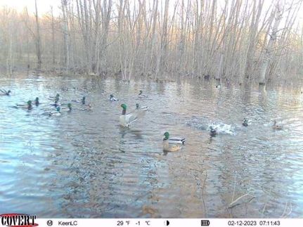 Property in Craighead County, Arkansas