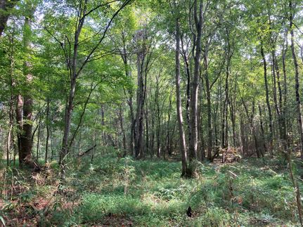 Property in Chambers County, Alabama