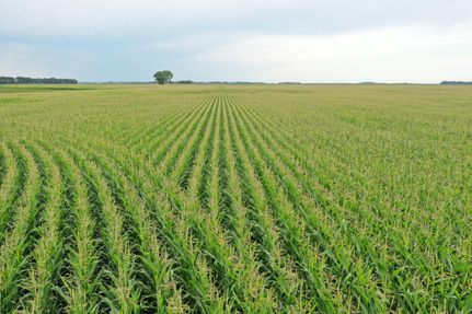Property in Wells County, North Dakota