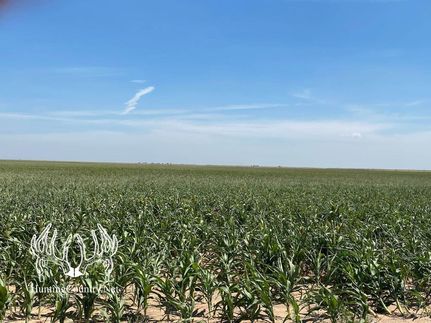 Property in Morton County, Kansas