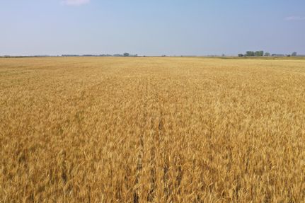 Property in Bottineau County, North Dakota