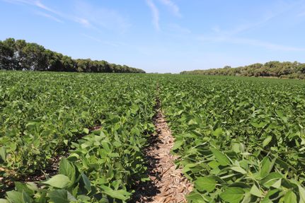 Property in Ward County, North Dakota