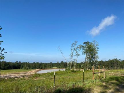 Waterfront Property for sale in Tyler County, Texas