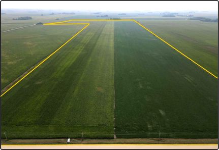 Property in Freeborn County, Minnesota